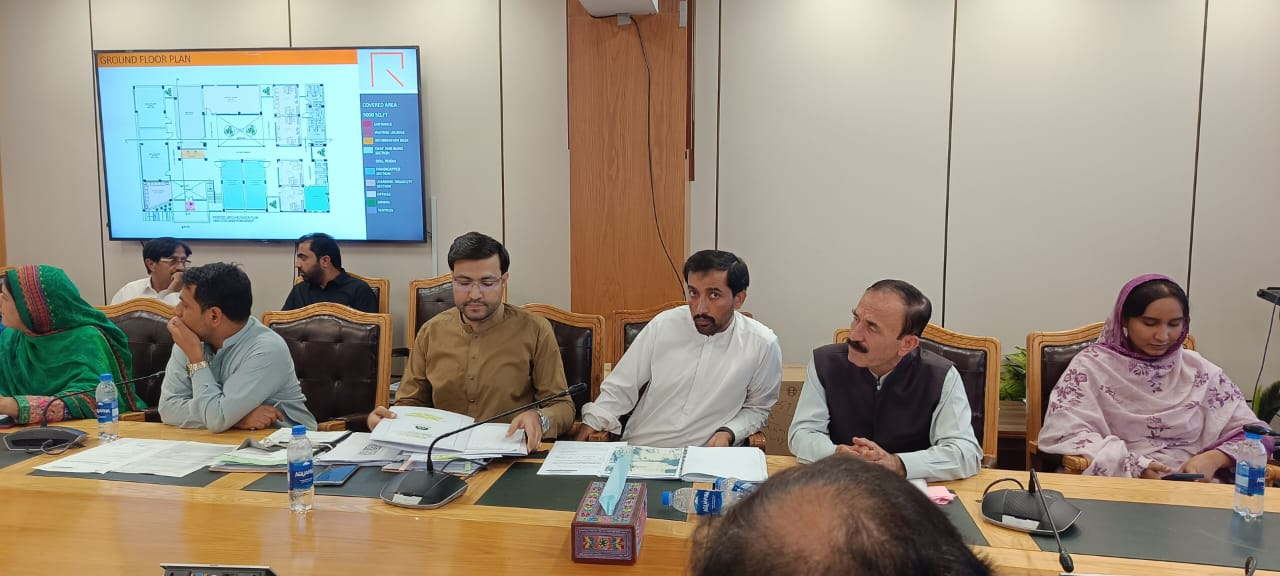 PDWP meeting regarding Social Welfare Sector dated 1892025
